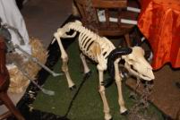 2018 GCO Halloween Party (96).jpg